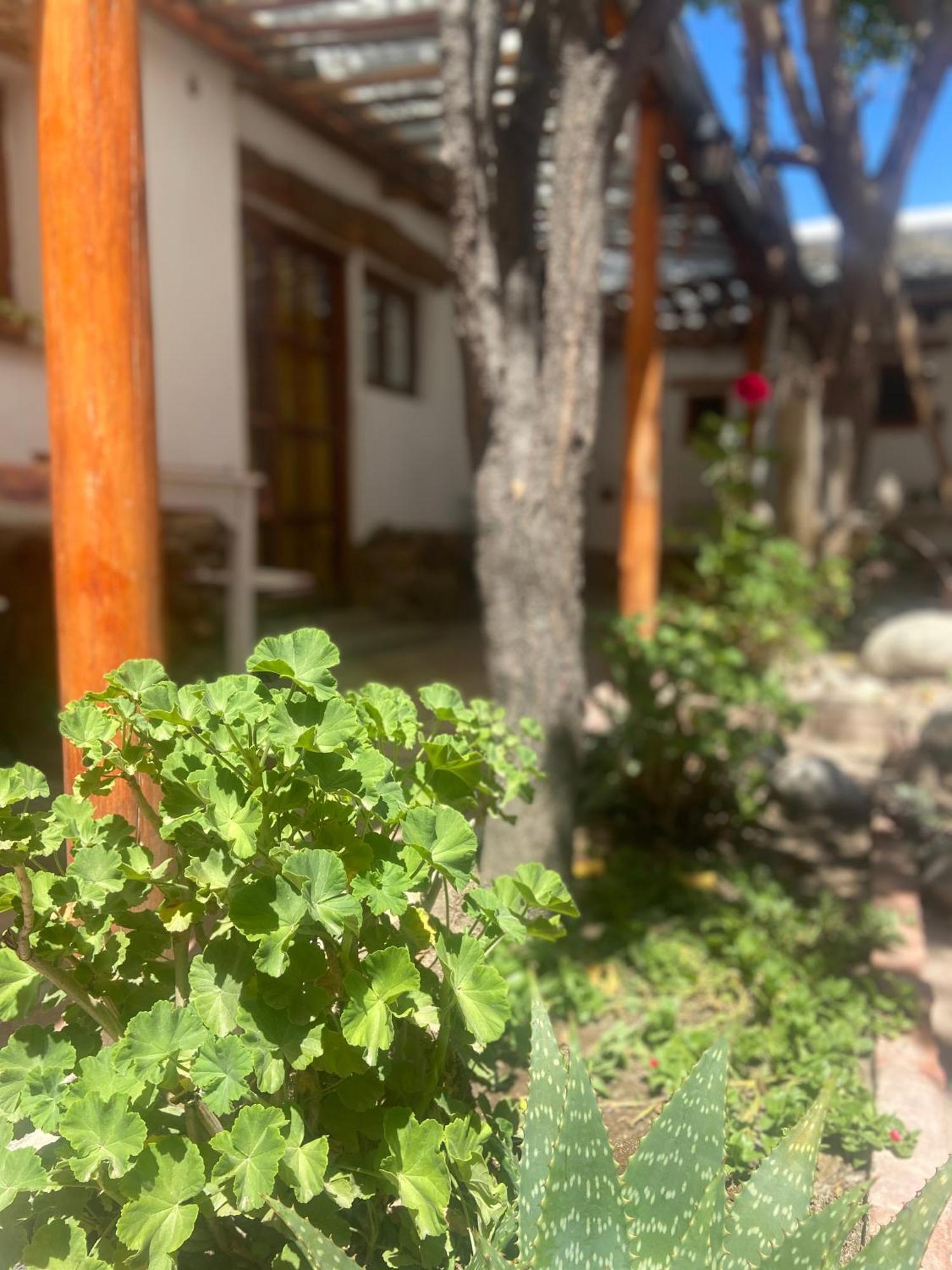 Hostal Tierra Andina Cafayate Εξωτερικό φωτογραφία